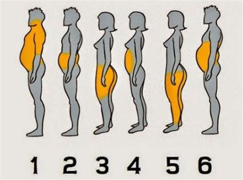 The Six Types Of Body Fat And How To Shed Extra Pounds 22 Words