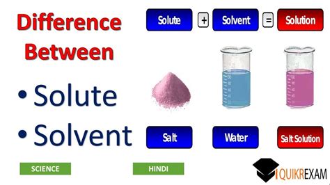 Solvents And Solutes Solubility Part 3 Interaction In Solution