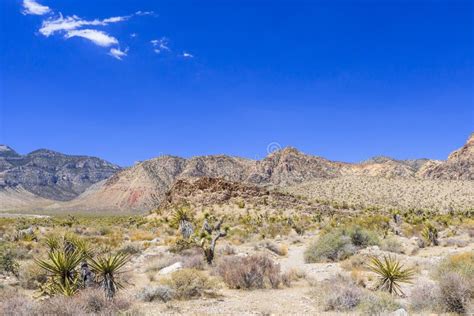 Red Rock Canyon Panoramic Mojave Desert Nevada Usa Stock Photo