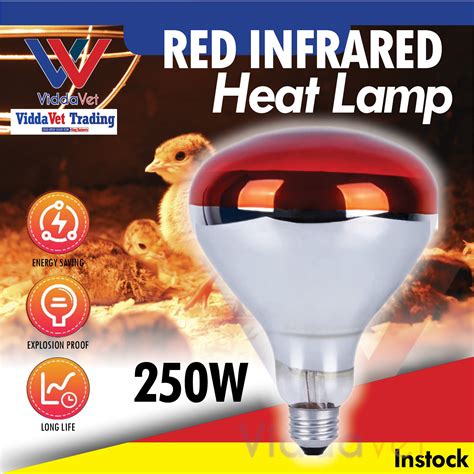 Infrared Bulb 100 Watts Infrared Heat Lamp Bulb Infrared Light Bulb