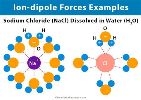 Ion Dipole Forces Interaction Definition And Examples