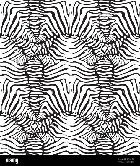 Seamless Zebra Skin Pattern Stock Vector Image And Art Alamy