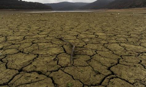 All across the world, people are taking action to prevent climate change. Segunda parte do IPCC alerta sobre futuro sombrio para o planeta - Jornal O Globo