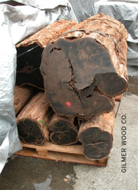 African Blackwood Is Rare And A Tough Cut Woodshop News