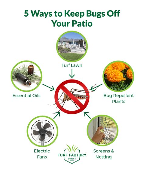 How To Keep Bugs Off Your Patio Turf Factory
