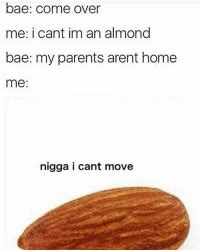 Bae Come Over Me I Cant Im An Almond Bae My Parents Arent Home Me Nigga