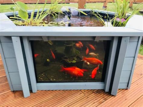 Lily Clear View Garden Aquarium Green Raised Fish Pond With Large