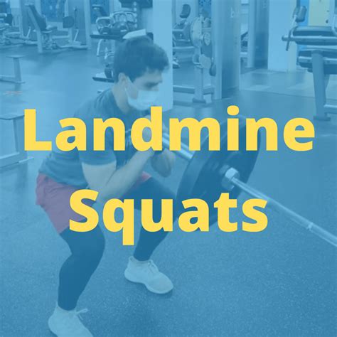 Landmine Squats 8 Variations For Leg Training Mastery