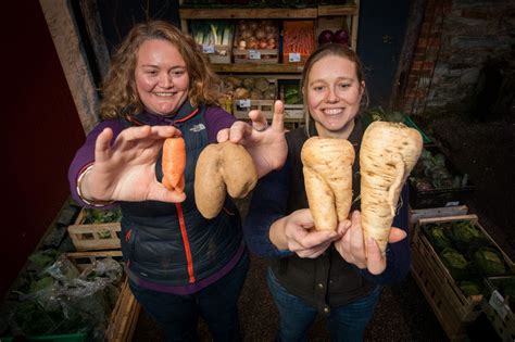 Rude Vegetables From The Cornish Food Box Company In Truro Mirror Online