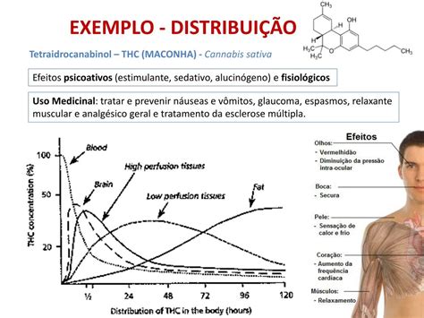 Muitos Processos Fisiológicos E Bioquímicos Tais Como Batimentos Cardíacos