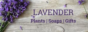 Twin oaks nursery is located in ruston city of louisiana state. Twin Oaks Nursery