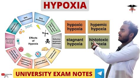 Hypoxia Types Of Hypoxia Effect Of Hypoxia Respiratory System