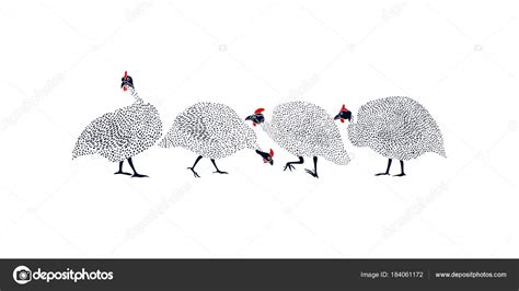 Hand Drawn Guinea Fowls Stock Vector By ©ezhevica 184061172