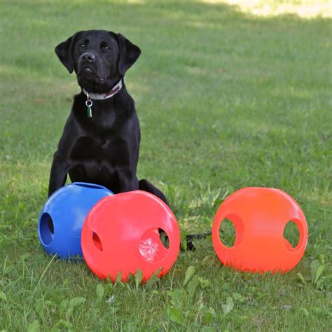 Paw Zzle Ball Indestructible Dog