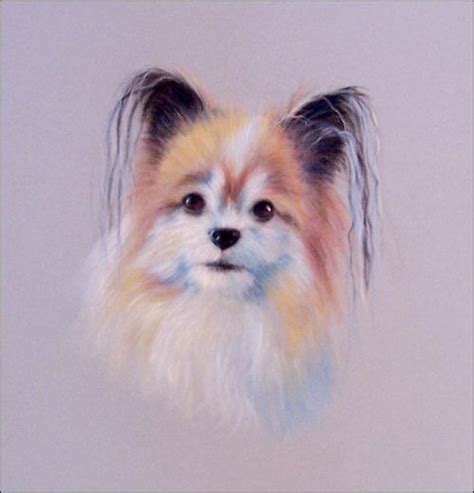 How To Paint An Animal Portrait With Pastels