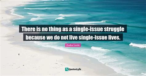 There Is No Thing As A Single Issue Struggle Because We Do Not Live Si