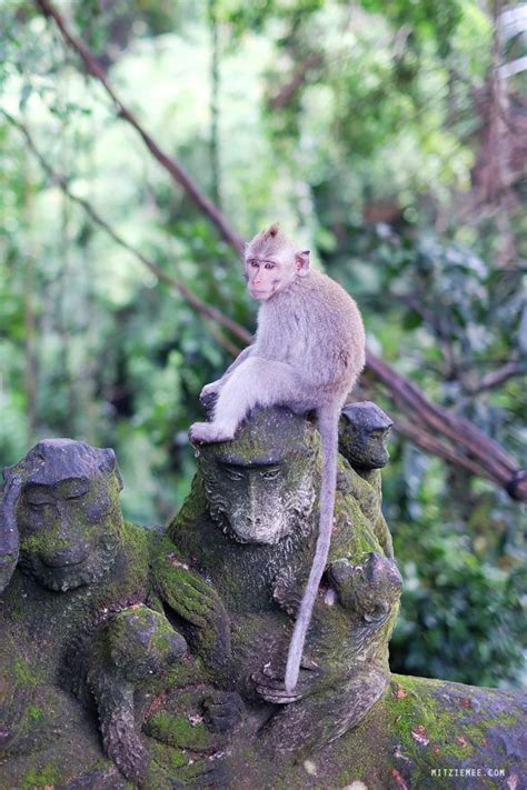 Bali The Monkey Forest In Ubud Bali Travel Blog Mitzie Mee