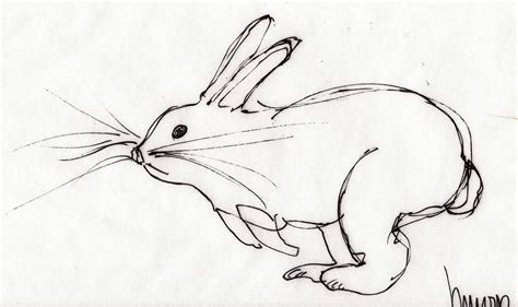 Bunny Running Drawing Sketch Coloring Page