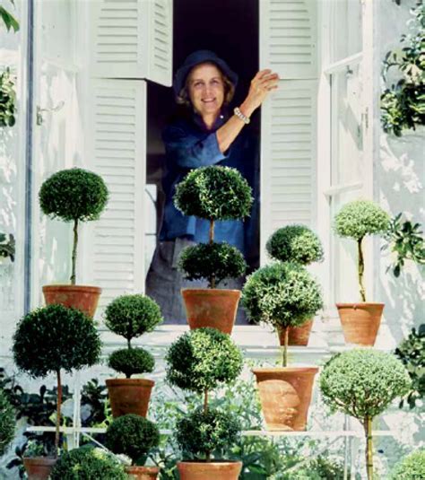 The Self Taught Gardener Who Designed The Kennedy White House Rose