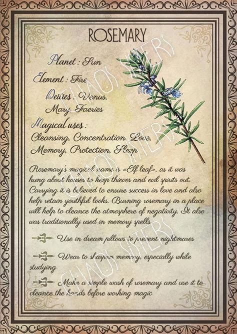 Printable Herbs Book Of Shadows Pages Set 1 Herbs And Plants