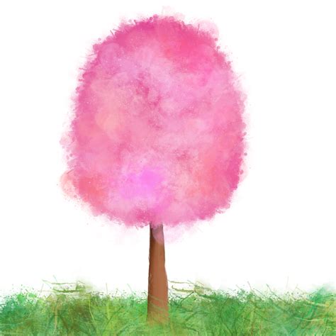 Pink Tree Spring Free Image On Pixabay