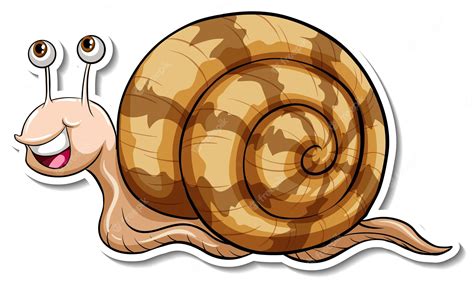 Snail Clipart Free Download Transparent Png Clipart Library Clip