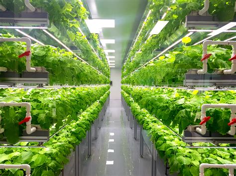 Controlled Environment Agriculture And ‘vertical Farming Chilled