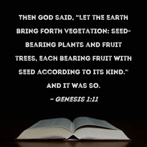 Genesis 111 Then God Said Let The Earth Bring Forth Vegetation Seed