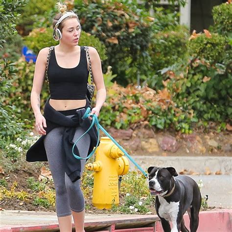 Miley Cyrus Bares Her Midriff While Walking Her Dog Mary Jane E