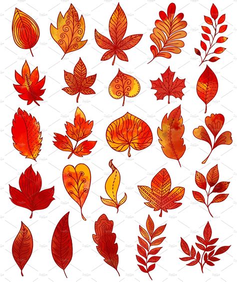 Autumn Foliage Hand Drawn Collection How To Draw Hands Leaves