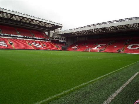 Son of a bitch, like looking for things with me ,, see it later you know yourself. Stadion - Picture of Anfield Stadium, Liverpool - TripAdvisor