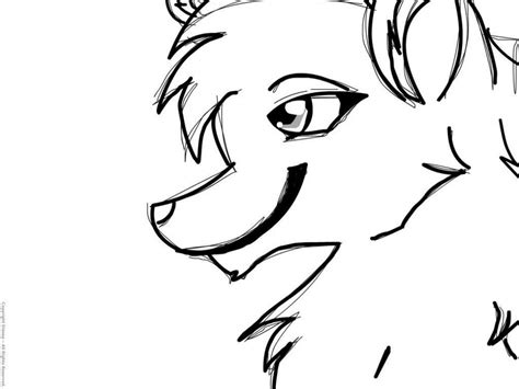 Dogs are everywhere, and everybody seems to know dog or know someone who owns a dog. Anime animals coloring pages download and print for free