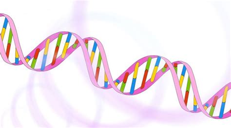 Sequencing at Speed | Sequencing, Molecular biology, Dna sequence