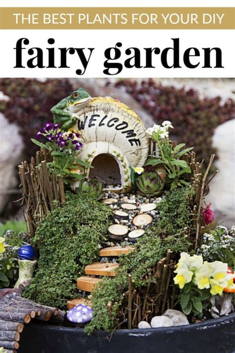 The Best Plants For Your Diy Fairy Garden Mommy Moment