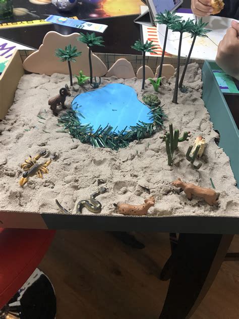 Made This Oasis Desert Diorama For Babe Project Habitats Projects Ecosystems Projects