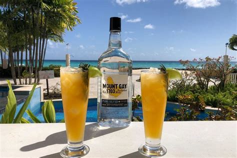 10 Caribbean Cocktails That You Can Make At Home