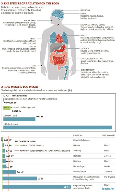 Radiation Effects On The Body Infographic Infographics