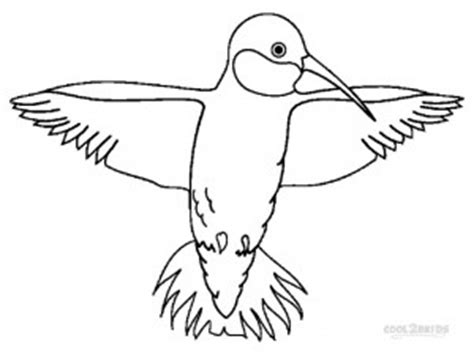 Search through 623,989 free printable colorings at getcolorings. Printable Hummingbird Coloring Pages For Kids | Cool2bKids