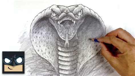 How To Draw A King Cobra Head
