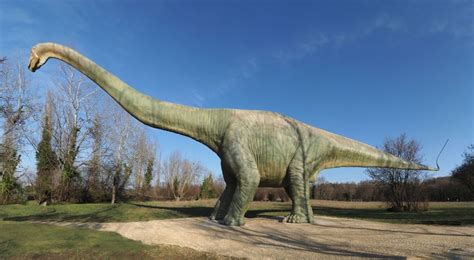 Münchenstein Grün 80, Dinosaurier Foto & Bild | natur, zoo, tiere