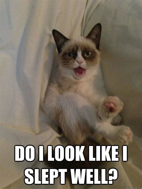 Sleep Kmh Funny Grumpy Cat Memes Grumpy Cat Quotes Grumpy Cat