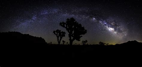 Milky Way Over Joshua Tree Sony A7ii Rokinon 14mm F28 7629x3620