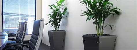 4 Ways Indoor Plants Bring Out The Best In Your Office