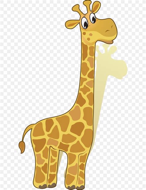 Baby Giraffes Infant Mother Clip Art Png 612x1072px Giraffe Animal