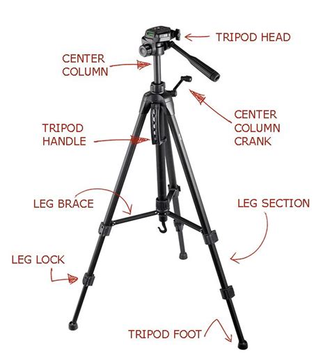 Camera Tripod Basics Understanding The Different Parts Of A Tripod