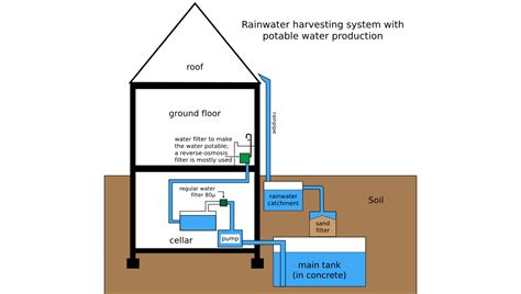The Basics Of Rainwater Harvesting Sheffield Waste Management