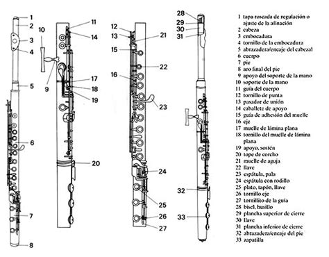 Scal Flute Argentina Informacion Cultural Sobre Flautas
