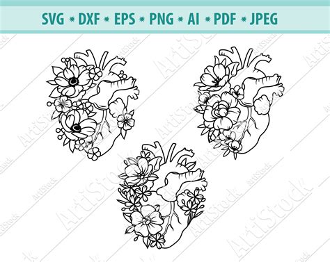 Vector File Svg File Heart Organ Flower Anatomy Anatomical Heart