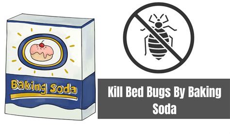 Does Baking Soda Kill Bed Bugs 𝐁𝐞𝐬𝐭𝐫𝐚𝐭𝐞𝐝𝐡𝐨𝐦𝐞