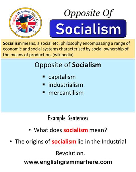 Definition Of Socialism